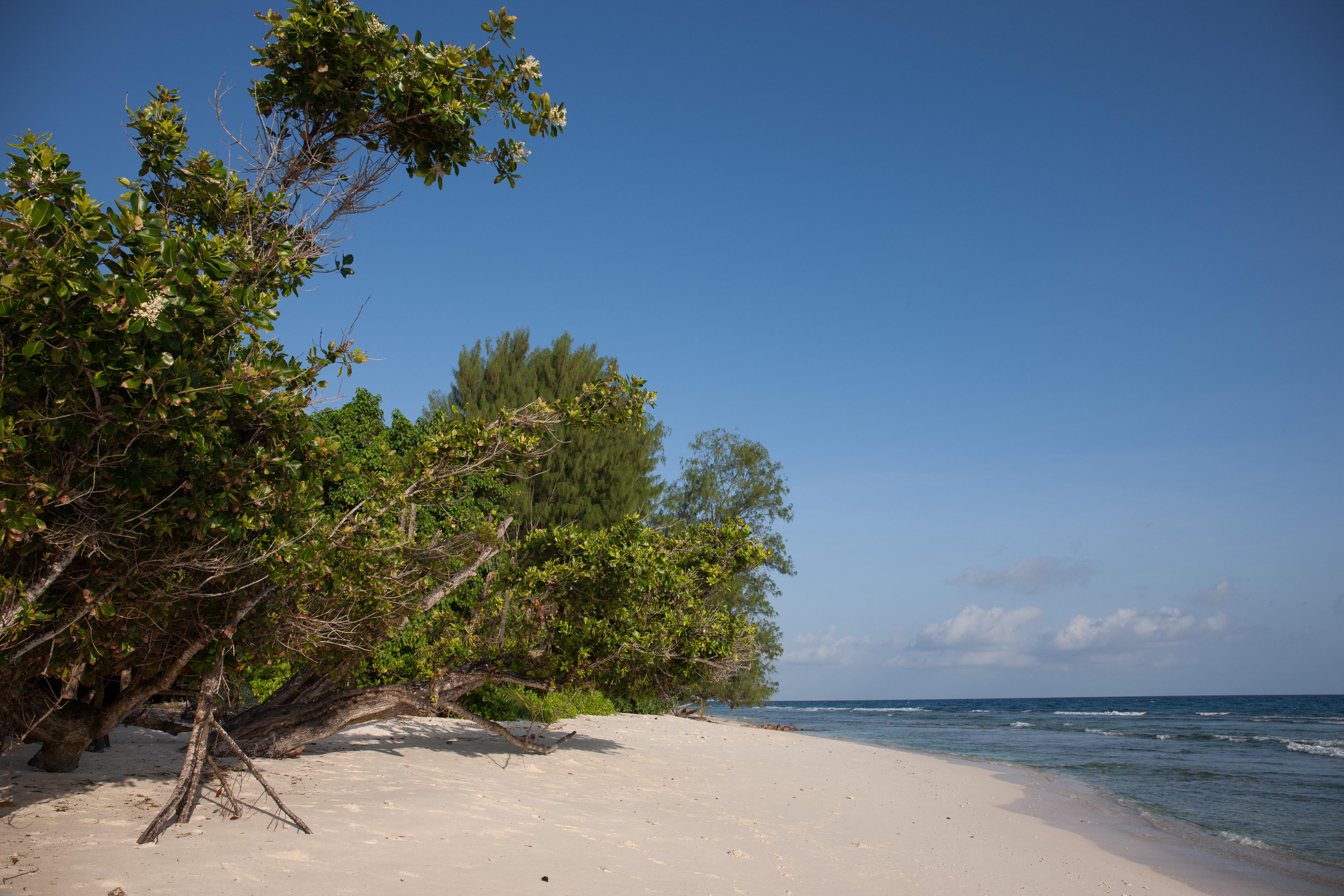 Le Relax Luxury Lodge (Adults Only) La Digue Exteriör bild