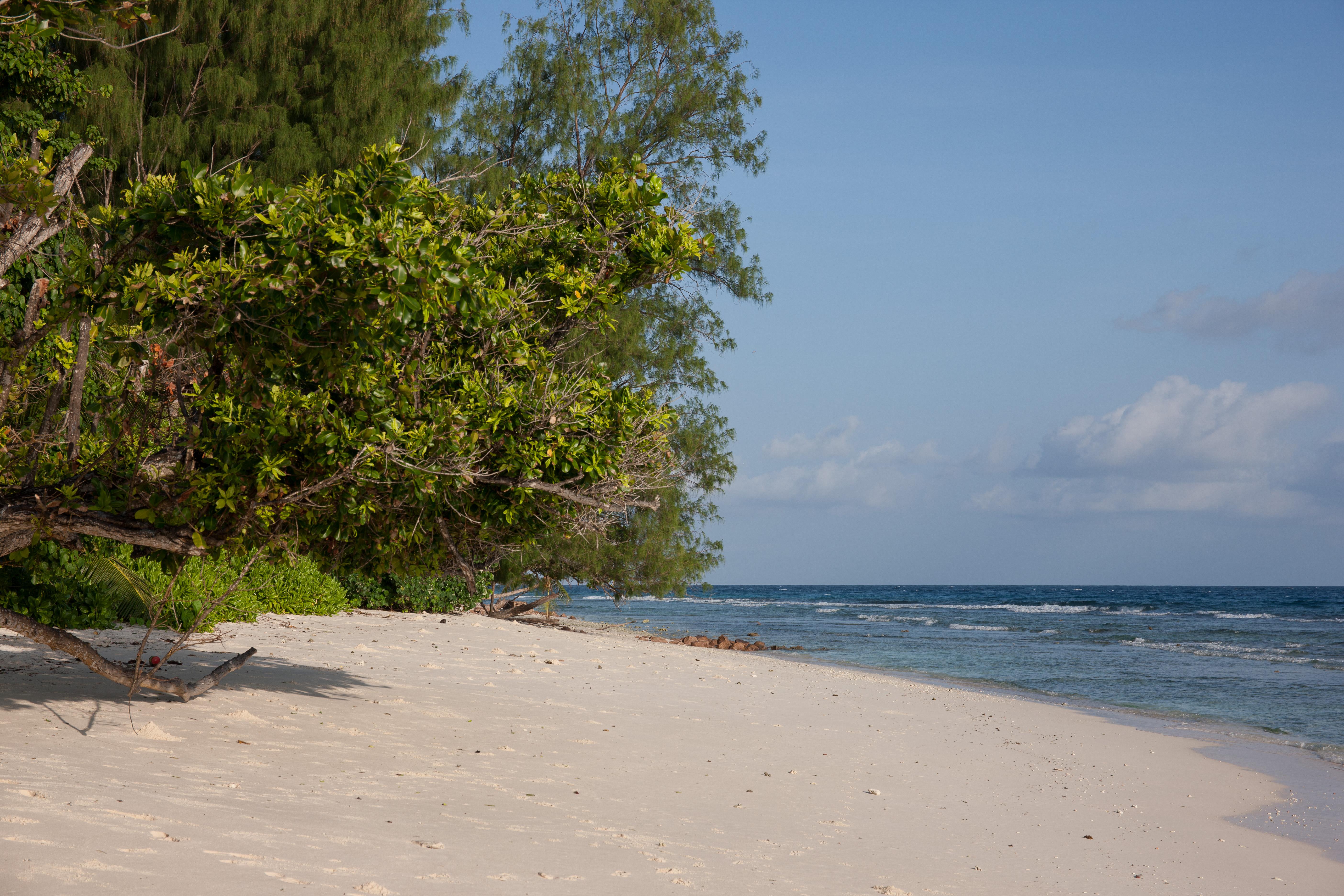 Le Relax Luxury Lodge (Adults Only) La Digue Exteriör bild